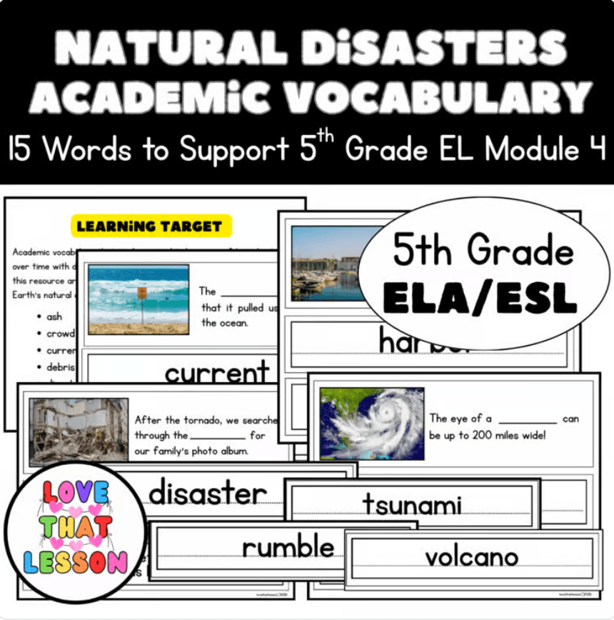 Natural Disasters Academic Vocabulary Word Wall | Earth Science | ESL & ELL Support - Love That Lesson Shop